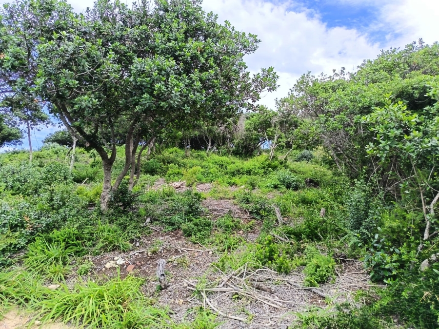 0 Bedroom Property for Sale in Bergsig Western Cape